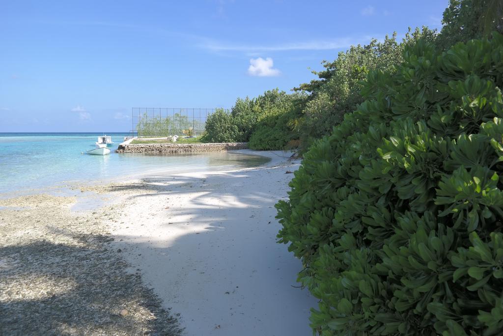 Treasure Island Lodge Huraa Kültér fotó